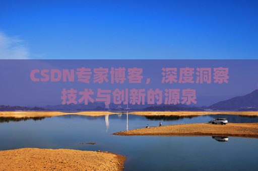 CSDN专家博客，深度洞察技术与创新的源泉